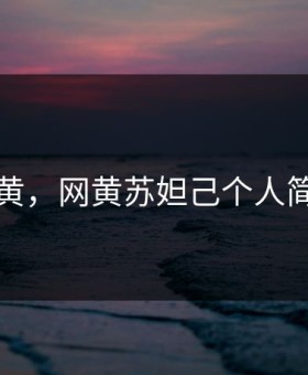 网黄，网黄苏妲己个人简历