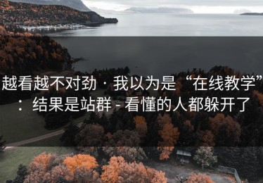 越看越不对劲 · 我以为是“在线教学”：结果是站群 - 看懂的人都躲开了
