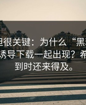 不热门但很关键：为什么“黑料网app”总和诱导下载一起出现？希望你看到时还来得及。