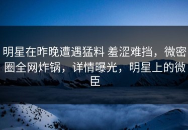 明星在昨晚遭遇猛料 羞涩难挡，微密圈全网炸锅，详情曝光，明星上的微臣