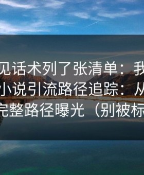 我把常见话术列了张清单：我做了万里长征小说引流路径追踪：从标题到弹窗，完整路径曝光（别被标题骗了）