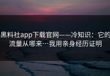 黑料社app下载官网——冷知识：它的流量从哪来…我用亲身经历证明