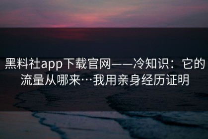 黑料社app下载官网——冷知识：它的流量从哪来…我用亲身经历证明