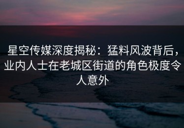 星空传媒深度揭秘：猛料风波背后，业内人士在老城区街道的角色极度令人意外