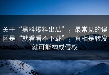 关于“黑料爆料出瓜”，最常见的误区是“就看看不下载”，真相是转发就可能构成侵权