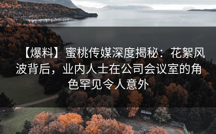 【爆料】蜜桃传媒深度揭秘：花絮风波背后，业内人士在公司会议室的角色罕见令人意外