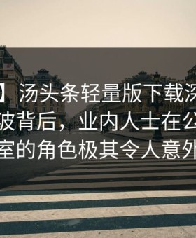 【速报】汤头条轻量版下载深度揭秘：爆料风波背后，业内人士在公司会议室的角色极其令人意外