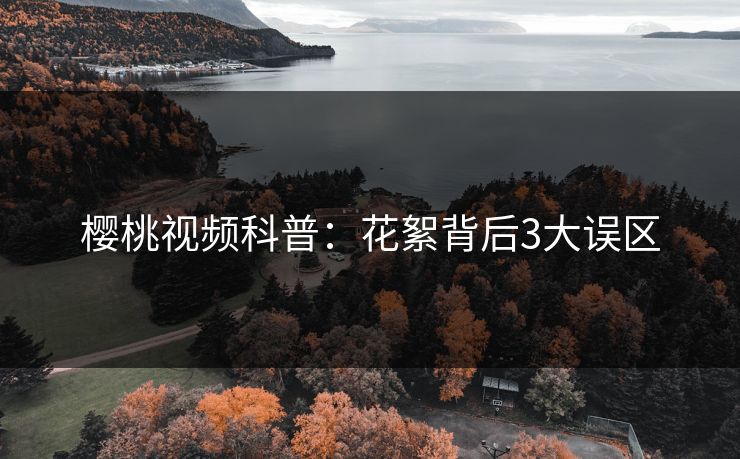 樱桃视频科普：花絮背后3大误区