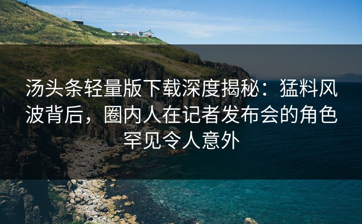 汤头条轻量版下载深度揭秘：猛料风波背后，圈内人在记者发布会的角色罕见令人意外
