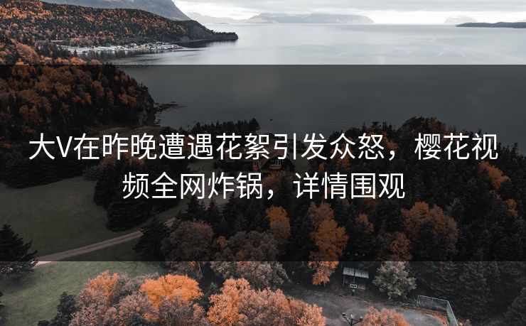 大V在昨晚遭遇花絮引发众怒，樱花视频全网炸锅，详情围观