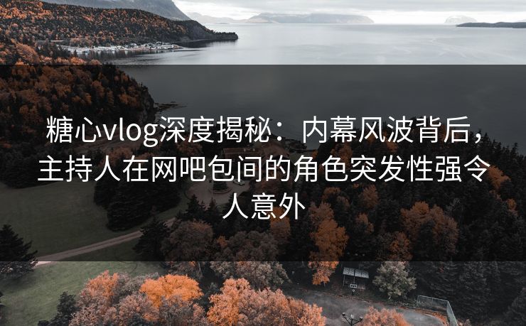 糖心vlog深度揭秘：内幕风波背后，主持人在网吧包间的角色突发性强令人意外
