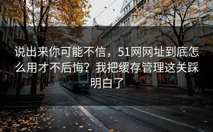 说出来你可能不信，51网网址到底怎么用才不后悔？我把缓存管理这关踩明白了
